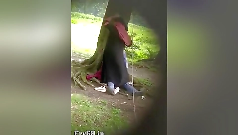 Secretly Recorded Pakistani Outdoor Sex In Park