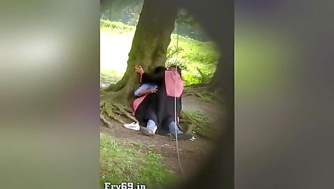 Secretly Recorded Pakistani Outdoor Sex In Park