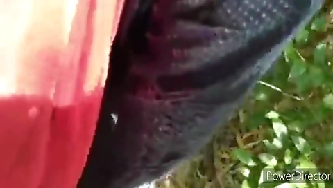 Desi Outdoor Fuck Girlfriend Fucking With Boyfriend Hordcore Doggy Style