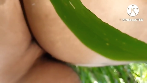 Sri Lanka Outdoor Sex - දෙන්නා එක්ක කැලේ පැන්නා