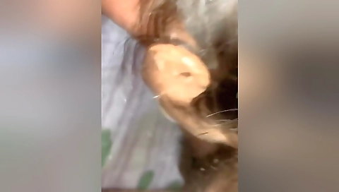 Sali Ke Muh Me Jhaad Diya Sara Maal
