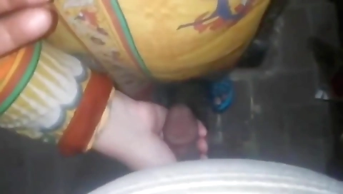 Desi Girl And Boy Porn Sex