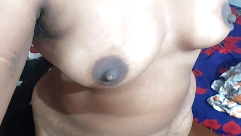 Desi Telugu Aunty Romantic Hottest Talk Telugu Aunty Masturbation Sex