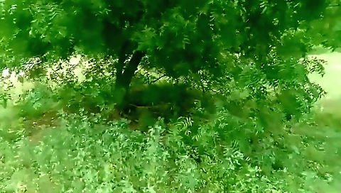 Indian Village Farming Couple Having Sex