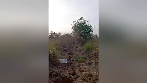 Desi Aunty Outdoor Village Sex