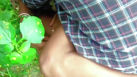 Jungal Me Mangal Karte Huye Paroshi Ne Pakra