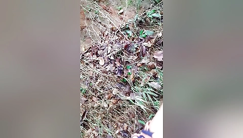 Very Risky Public Fuck With Beautiful Girl - Jungle Sex