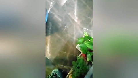 Deshi Bhabhi Fore Play Her Old Watch Man,sucking Cock,sick,with Cream,hot Boobs,nippal