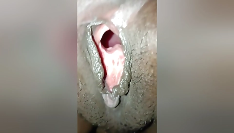 Kerala Aunty Big Pussy